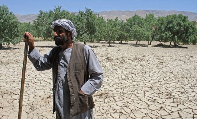 بلوچستان میں گرمی کی شدت میں اضافہ، ہیٹ ویو سے فصلوں کو نقصان کا خدشہ