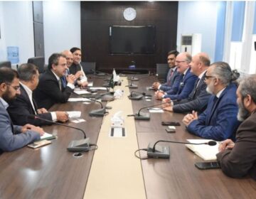 پاکستانی گرڈ سسٹم کی قسمت بدلنے والی عالمی پیشکش، وارٹسلا کا بڑا پلان