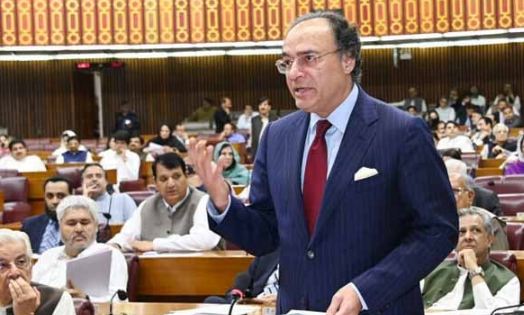 5 کروڑ تک کے ٹیکس کیسز میں وارنٹ کے بغیر گرفتاری نہیں ہوگی، وزیر خزانہ