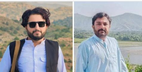 دو سگے بھائی جاں بحق