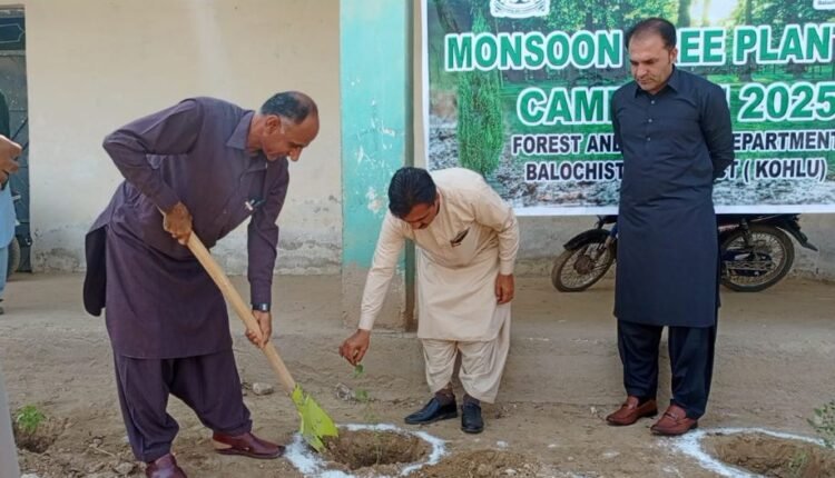 کوہلو میں مون سون شجرکاری مہم کا آغاز عوام میں سات ہزار پودے تقسیم کیے جائینگے