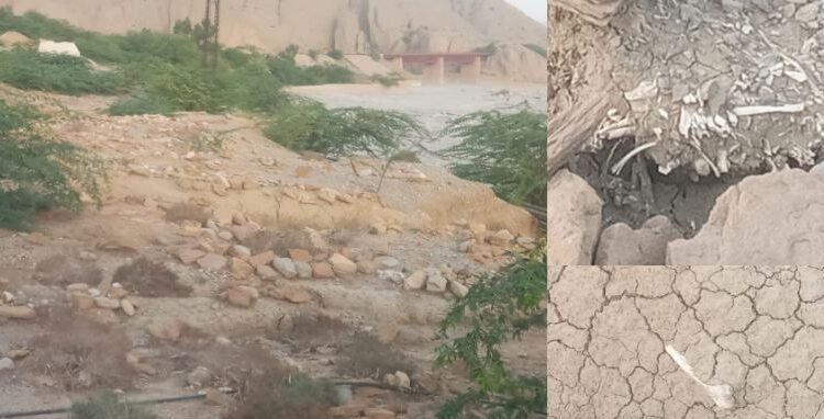 مچھ میں 300 سال پرانا قبرستان دریافت، بارشوں سے قبریں اجڑ گئیں