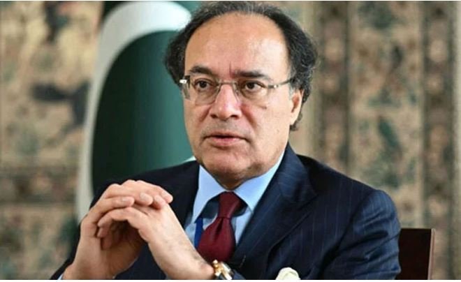 سعودی سرمایہ کاروں کا خیرمقدم کرتے ہیں،وزیر خزانہ