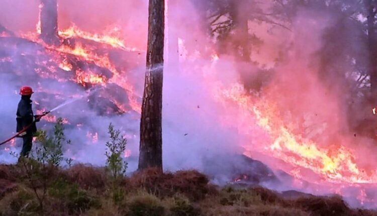 راولپنڈی میں 2025 کے دوران آگ لگنے کے 1,704 واقعات رپورٹ