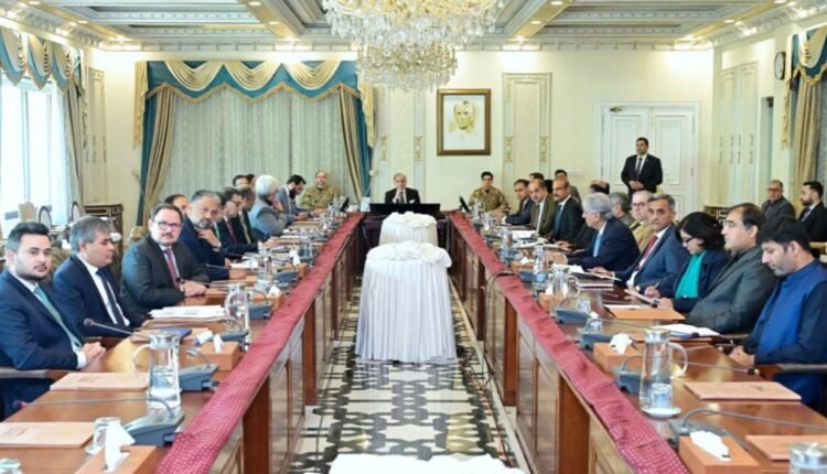 ٹیکس نیٹ فوری بڑھایا جائے، محصولات میں اضافہ ضروری ہے ،شہباز شریف